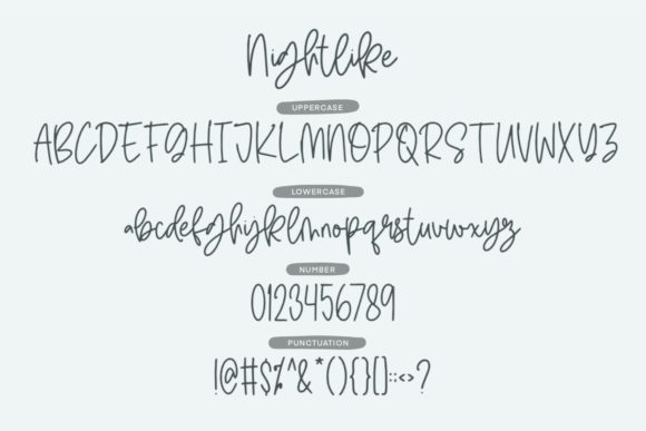 Nightlike Font Poster 3