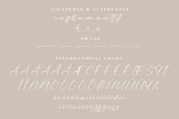 Nighty Bright Font Poster 14