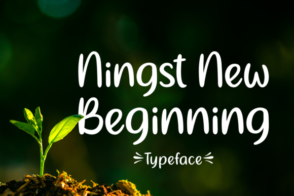 Ningst New Beginning Font Poster 1