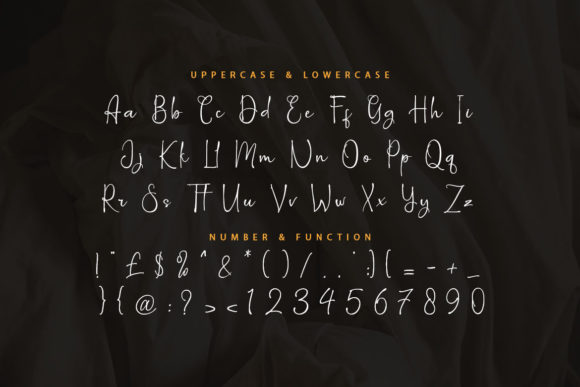 Niwatch Font Poster 8