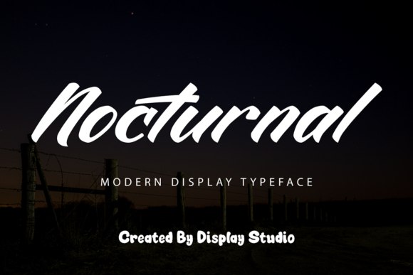 Nocturnal Font Poster 1