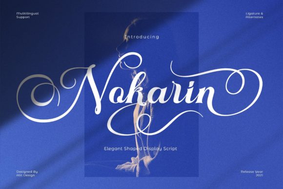 Nokarin Font Poster 1