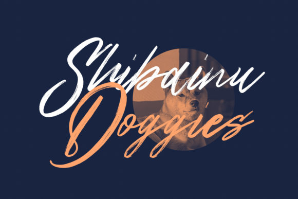 Northloops Font Poster 5