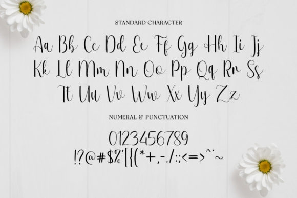 Nowela Script Font Poster 10