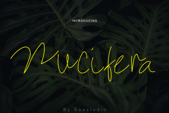 Nucifera Font