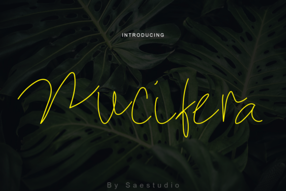 Nucifera Font Nucifera Font Poster 1