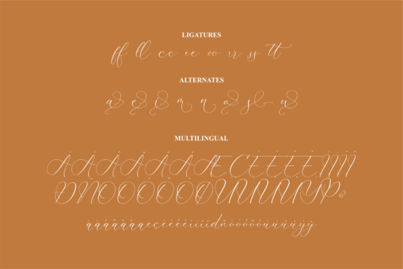 Nusantyra Cantiva Font Poster 14