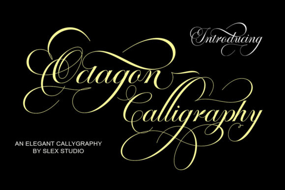 Octagon Calligraphy Font Poster 1