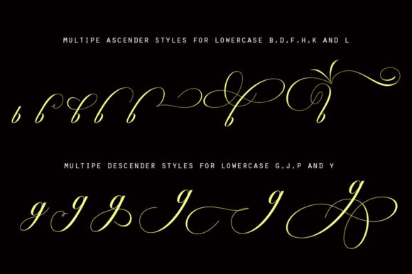Octagon Calligraphy Font Poster 4