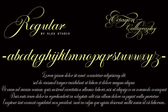 Octagon Calligraphy Font Poster 5