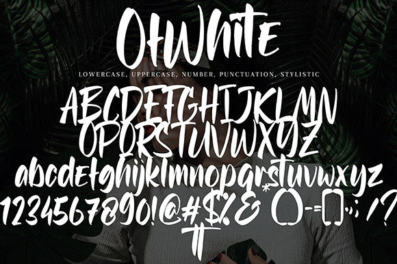 Ofwhite Font Poster 8