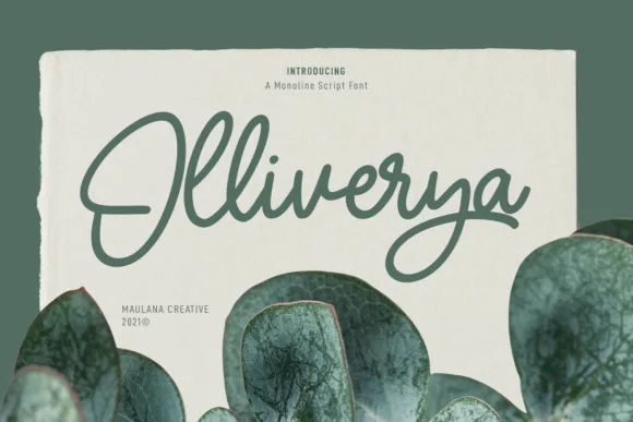 Olliverya Script Font Olliverya Script Font Poster 1