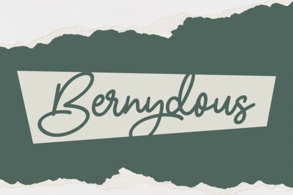 Olliverya Script Font Poster 4