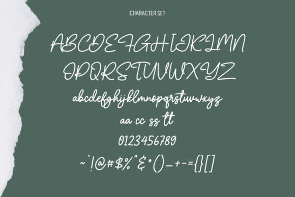 Olliverya Script Font Poster 8