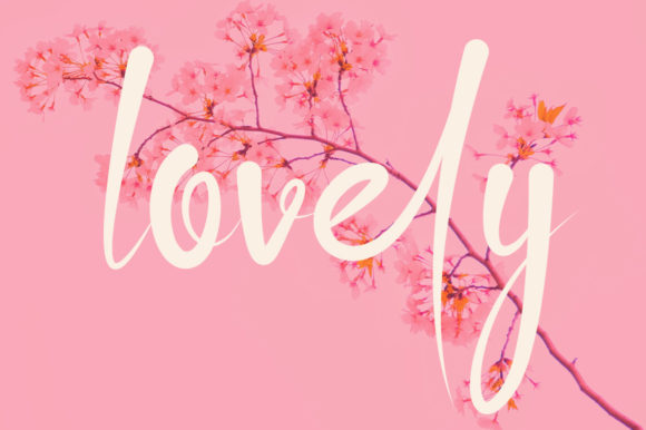 Ollivitess Font Poster 2