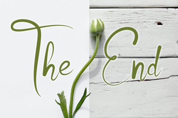 Ollivitess Font Poster 7
