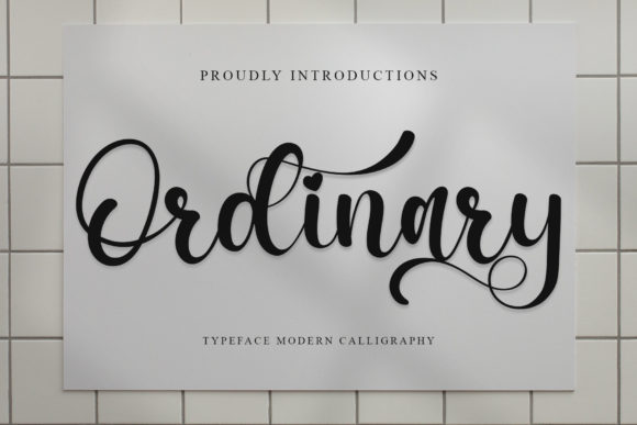Ordinary Font Poster 1