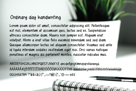 Ordinary Day Font Poster 2