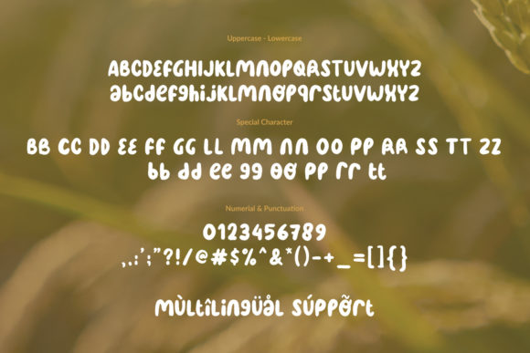 Oryza Sativa Font Poster 11