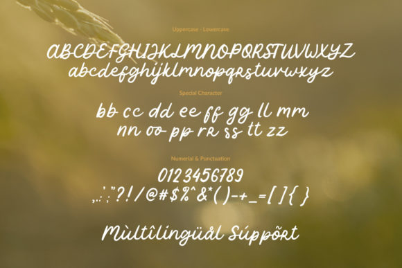 Oryza Sativa Font Poster 13
