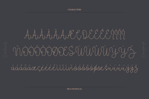 Overlovely Font Poster 9