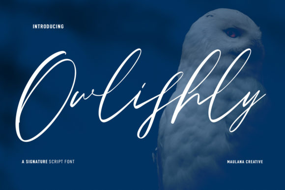 Owlishly Font Poster 1