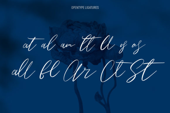 Owlishly Font Poster 9