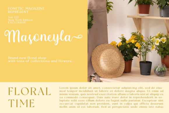Palerissa Font Poster 3