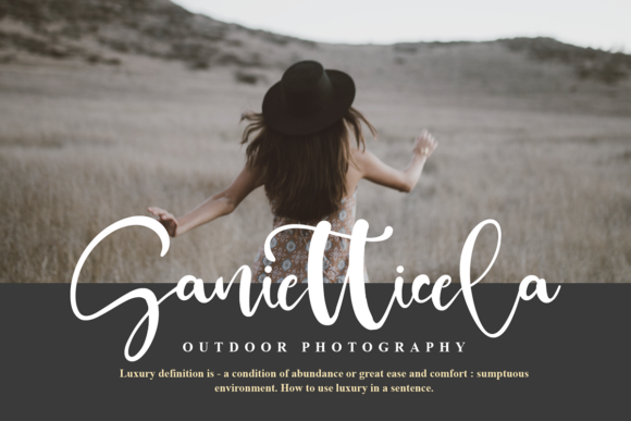 Panny Castie Font Poster 6