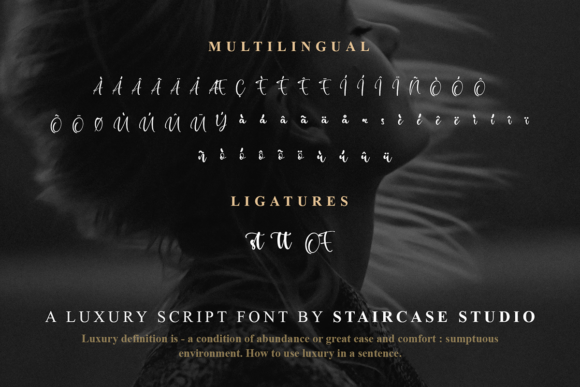 Panny Castie Font Poster 9