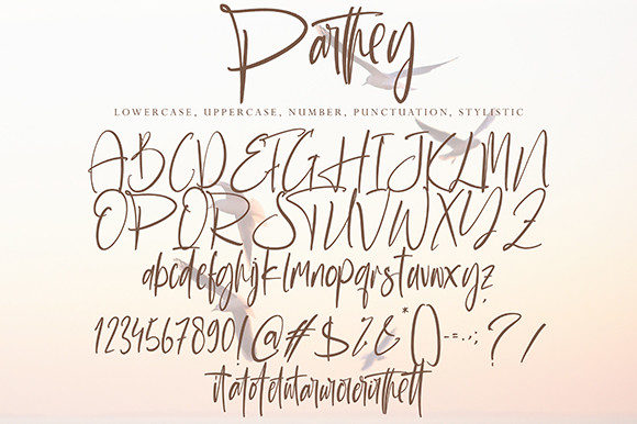 Parthey Font Poster 10
