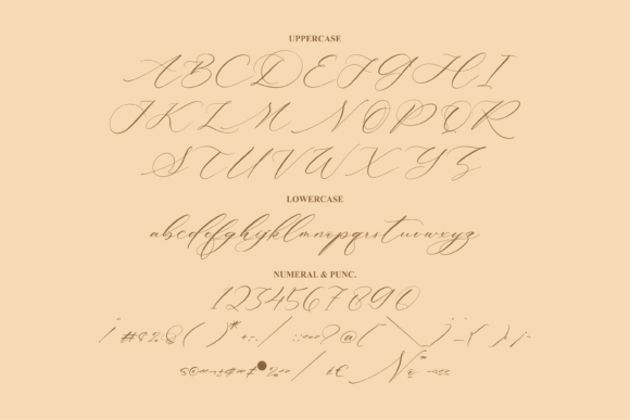 Patricia Rustine Font Poster 13