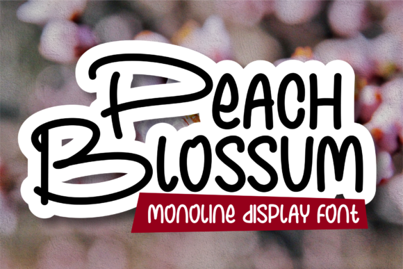 Peach Blossum Font Poster 1