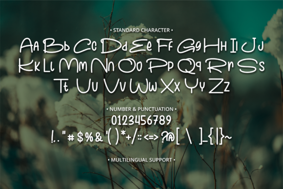 Peach Blossum Font Poster 9