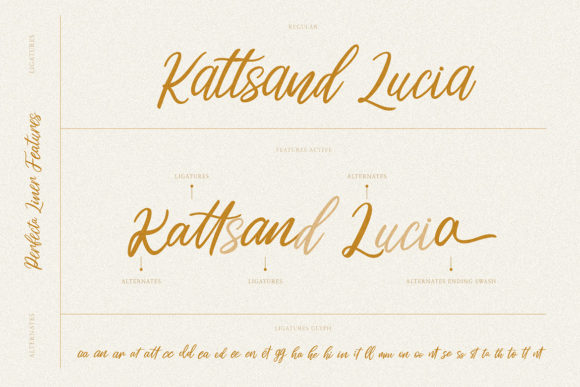 Perfecta Liner Font Poster 10