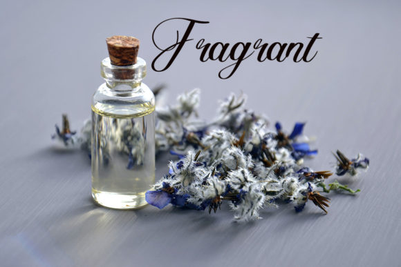 Perfume Shop Font Poster 4