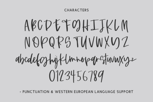 Persnickety Script Font Poster 10