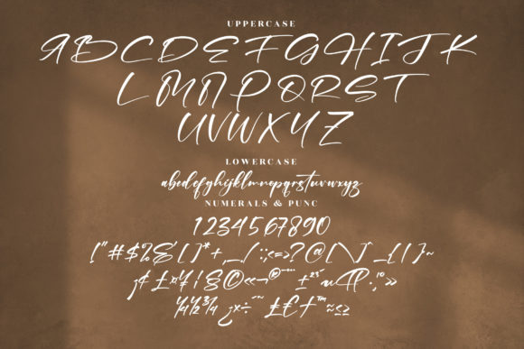 Pettrick Belinst Font Poster 13