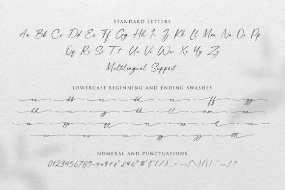 Photogenic Font Poster 11