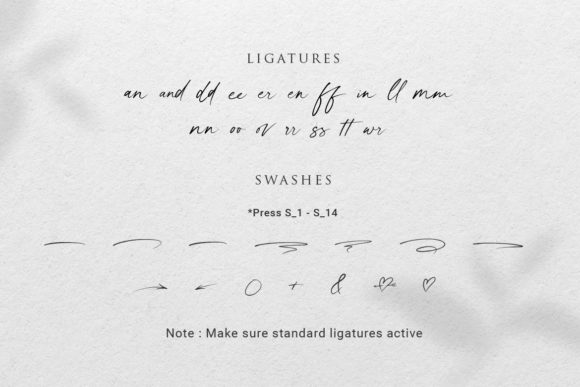Photogenic Font Poster 10