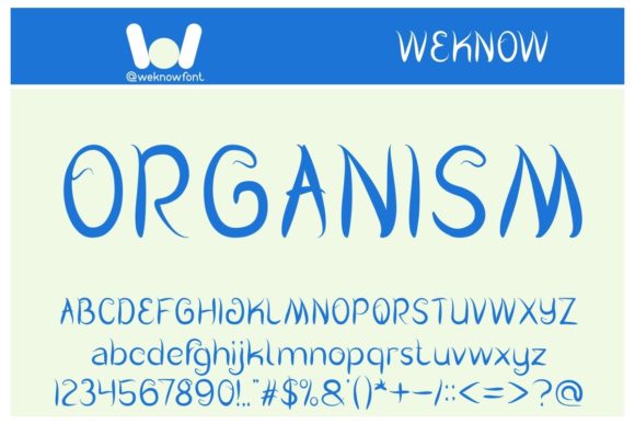 Photography Font Poster 5