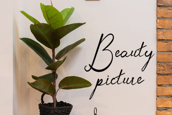 Photography Font Poster 4