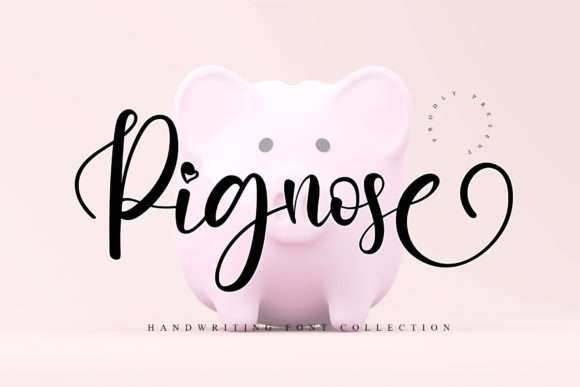 Pignose Font