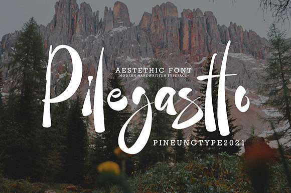 Pilegastto Font Poster 1