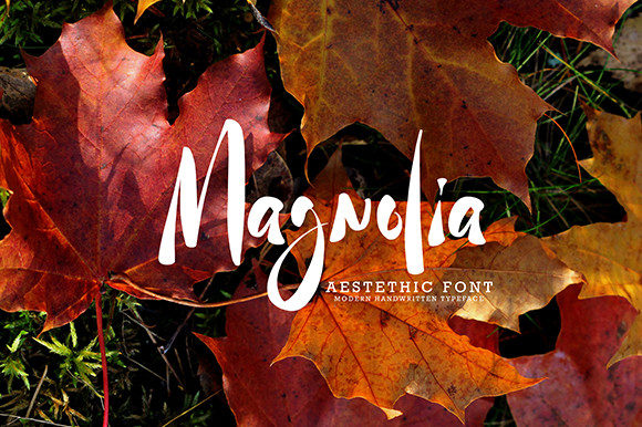 Pilegastto Font Poster 5