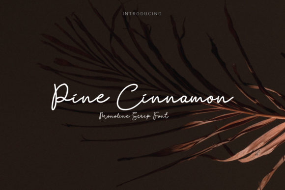 Pine Cinnamon Font Poster 1