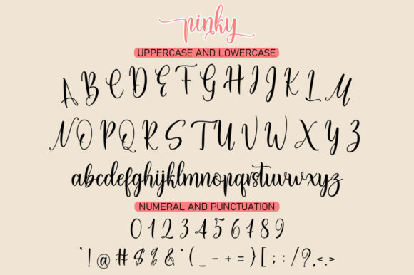 Pinky Love Font Duo Font Poster 9