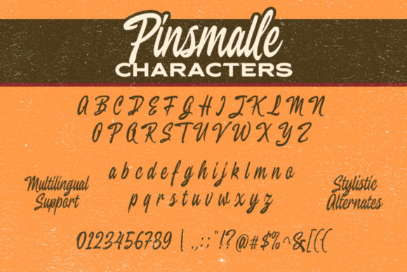 Pinsmalle Font Poster 5