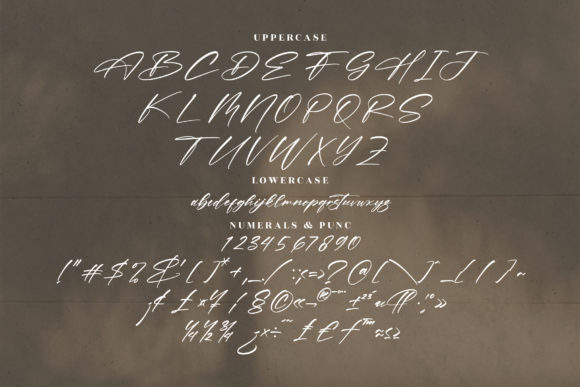 Pirattes Font Poster 13