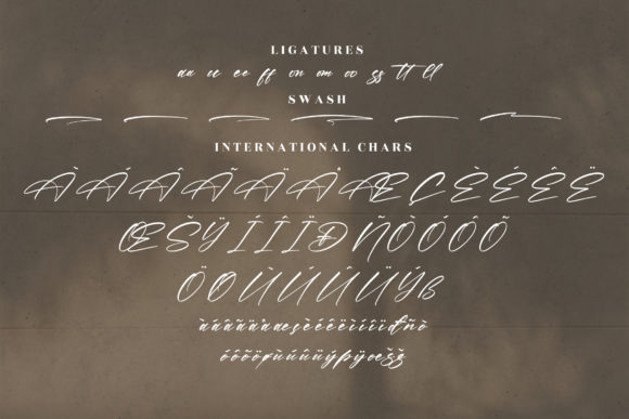 Pirattes Font Poster 14